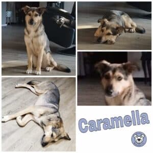 Caramella in 52146 Würselen *vermittelt*