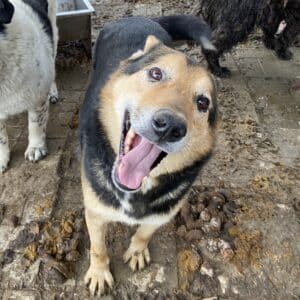 PHILIPP - ausgereist zum TH Iserlohn