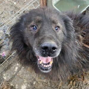 SAMIR - vermisst 11/24