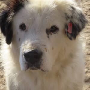 ONNO - reserviert Manuela - vermittelt