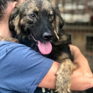 CORAL - auf PDR PS im PLZ Bezirk 64 - vermittelt