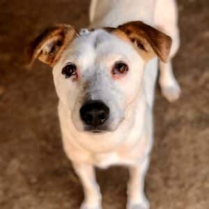 STELLAN - auf PDR PS im PLZ Bezirk 72 - vermittelt