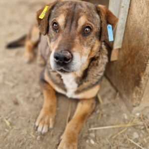 SAMIE - vermisst 11/24