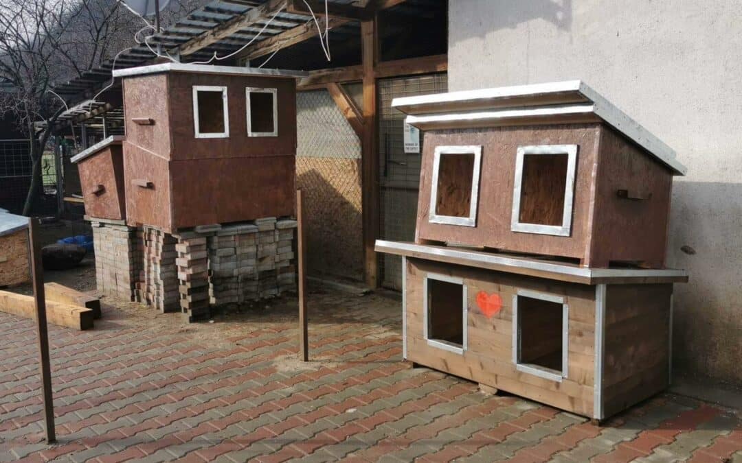 Neue Hütten für das Open Shelter in Baile Herculane fertiggestellt ⚒️