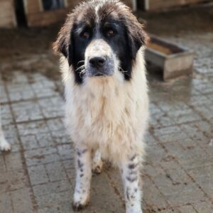 CONLEY - vermisst 11/24