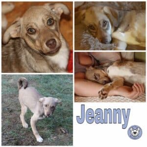 Jeanny in 56249 Herschbach *vermittelt*