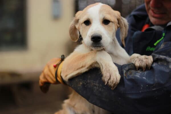 LOMME - - reserviert Kinder- und Tierschutzhof Hahnenberg (GC 06.06.)