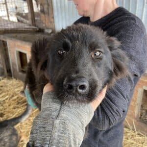 FABIENNE - RBB 05/23