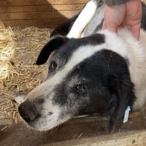 HABIBA - resignierte Omi - auf PDR Gnadenplatz - RBB 30.10.23