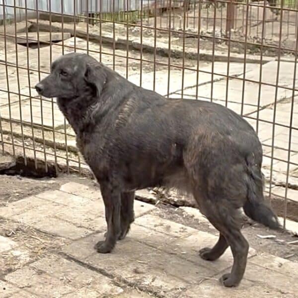 TIA (♀) – Bild 6