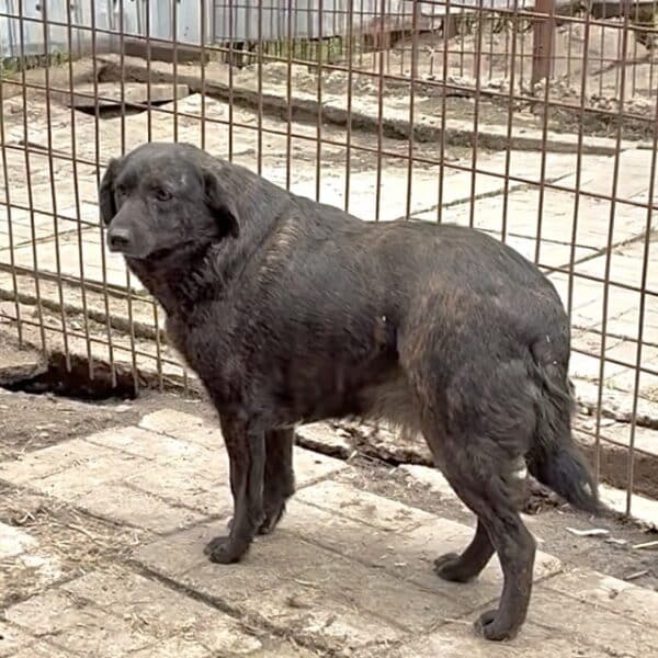 TIA (♀) – Bild 5