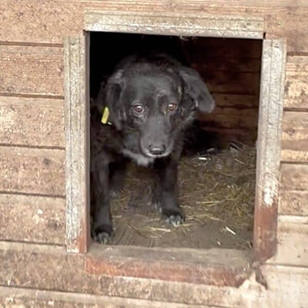 TIA (♀) – Bild 2