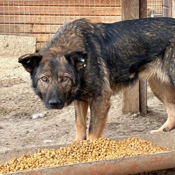 WICKIE (♀) – Bild 4