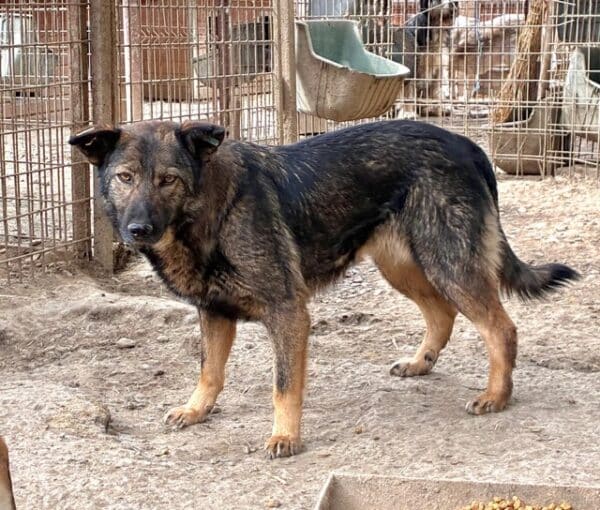 WICKIE (♀) – Bild 2