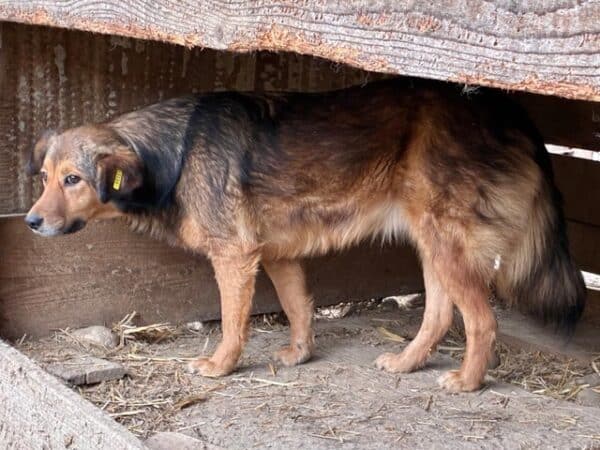 TOXI (♀) – Bild 3