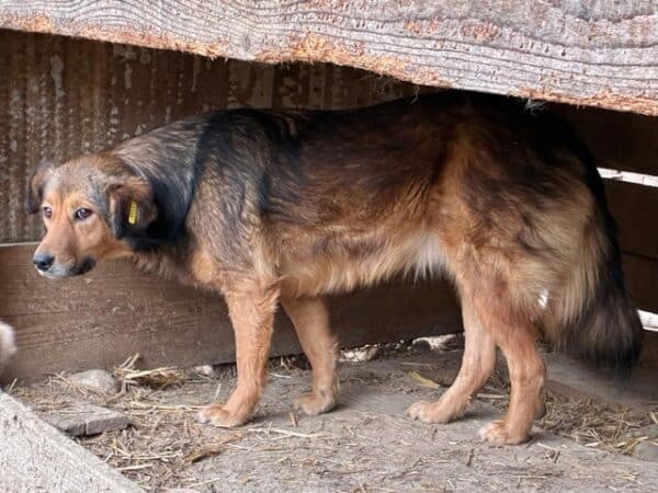 TOXI (♀) – Bild 2
