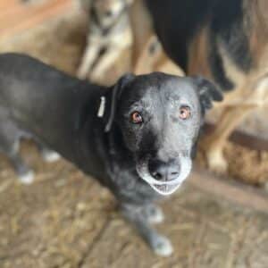 JONNA - auf PDR PS im PLZ Bezirk 86