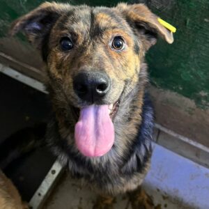 MOO - auf PDR PS im PLZ Bezirk 53 - vermittelt