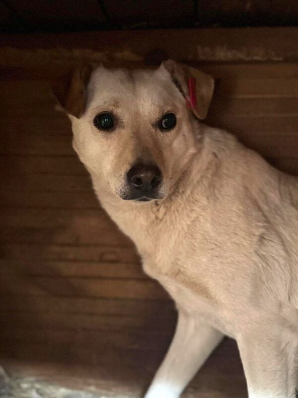 SOLEY (♀) – Bild 6