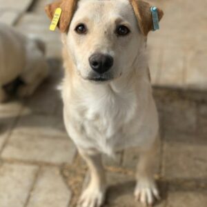 SOURI - ausgereist zum TST Rösrath