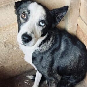 TWEL - auf PDR PS im PLZ Bezirk 21 - vermittelt