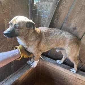 TAKA - ausgereist zum TH Wannigsmühle