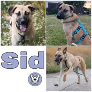 SID in 18239 Satow - vermittelt