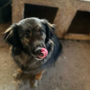 MATHO (♂) - vermittelt Manuela