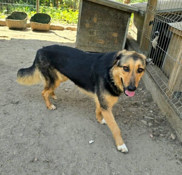 RAZOMI (♀) – Bild 2