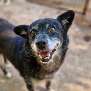 EMBER - ausgereist zum TH Limburg