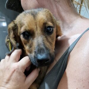 KEN - auf PDR PS im PLZ Bezirk 44 - vermittelt