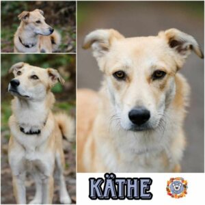 Käthe in 27299 Etelsen - vermittelt