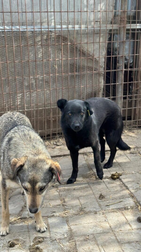 YAMI (♀) – Bild 2