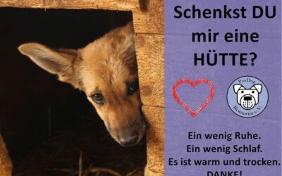 Schenkst du mir eine Hütte? – Hüttenaktion für den Winter 🛖❄️