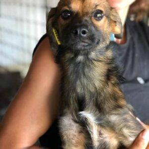 ITI - auf PDR PS im PLZ Bezirk 18