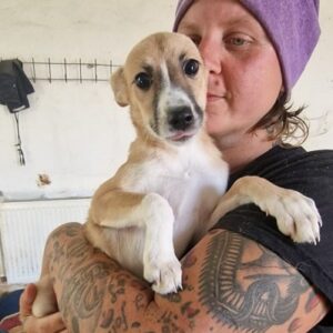 SACHI - ausgereist zur Tierhilfe Lebenswert