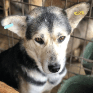 WAKAN - vor Ort vermittelt 10/24