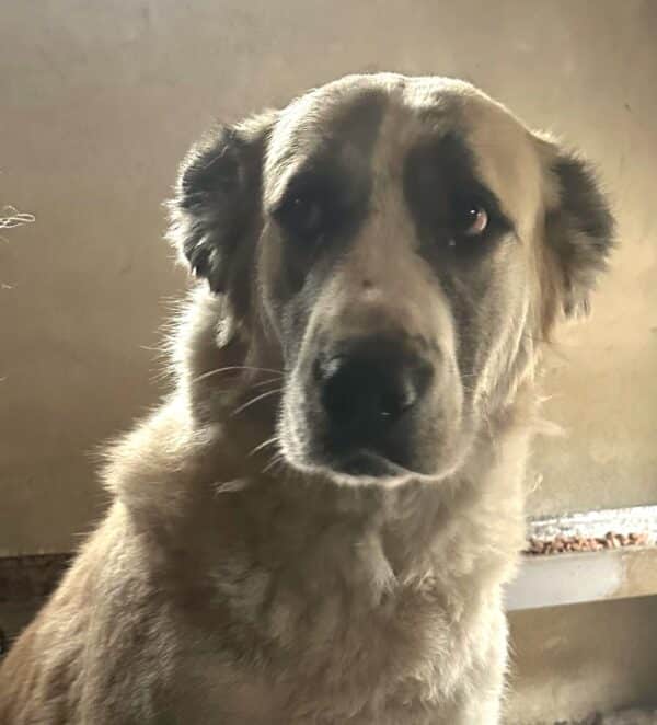 LUNA (♀) – Bild 2
