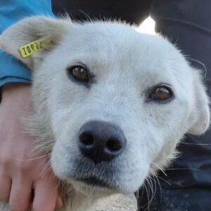 ELLSA - reserviert TST Rösrath (29.10.) - RBB 10/23