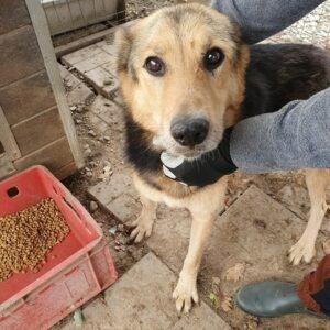 PRIMO - Notfall - vermittelt Manuela