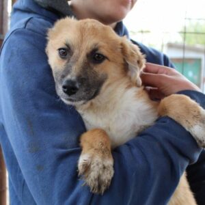 WILMA - ausgereist zu TINO