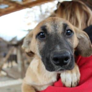 IGOLI - auf PDR PS im PLZ Bezirk 74  - vermittelt