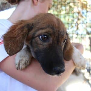 POKA - vermittelt MD