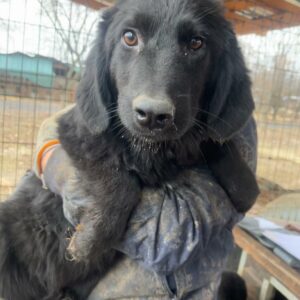 SUMMER - auf PDR PS im PLZ Bezirk 99 - vermittelt