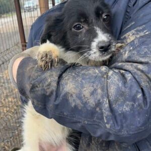 EMMCHEN - vermittelt MD