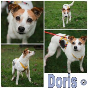 Doris in 24222 Schwentinental - vermittelt