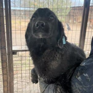 PENNY - auf PDR PS im PLZ Bezirk 82 - vermittelt