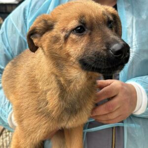 MABINI (♀) - vermittelt JW