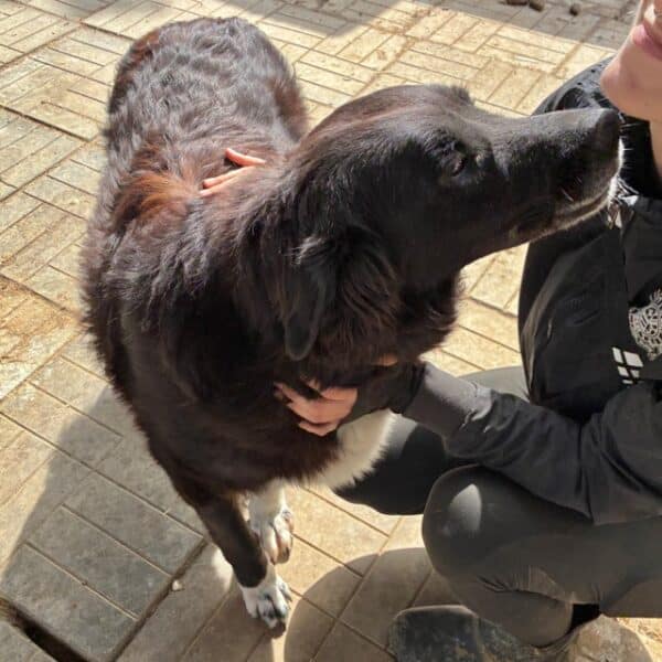 ARANKA (♀) – Bild 4