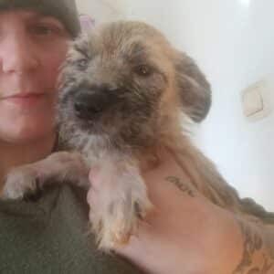 LILLI-ELA (♀) - ausgereist zur Tierhilfe Lebenswert